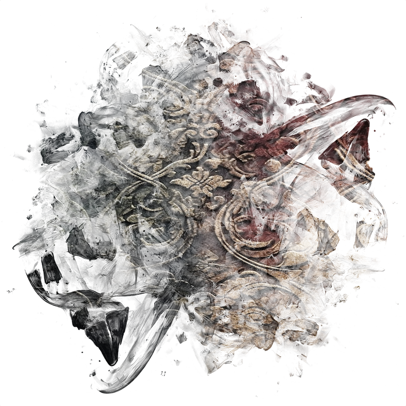 2026-DesignsbyForteMasked800x800-637