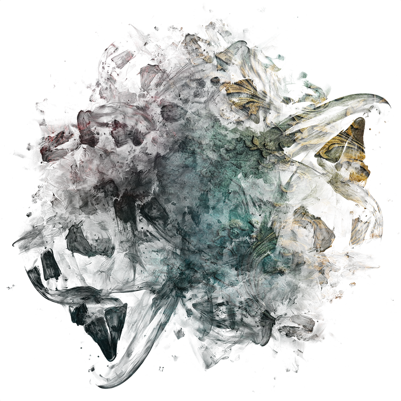 2026-DesignsbyForteMasked800x800-640