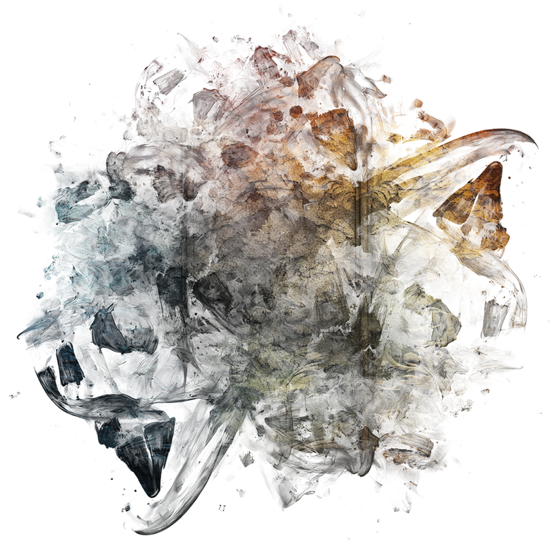 2026-DesignsbyForteMasked800x800-641
