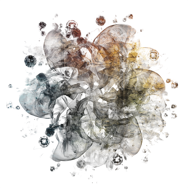 2026-DesignsbyForteMasked800x800-652