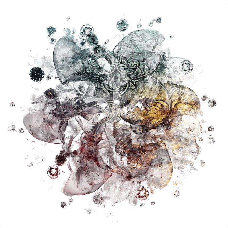 2026-DesignsbyForteMasked800x800-654