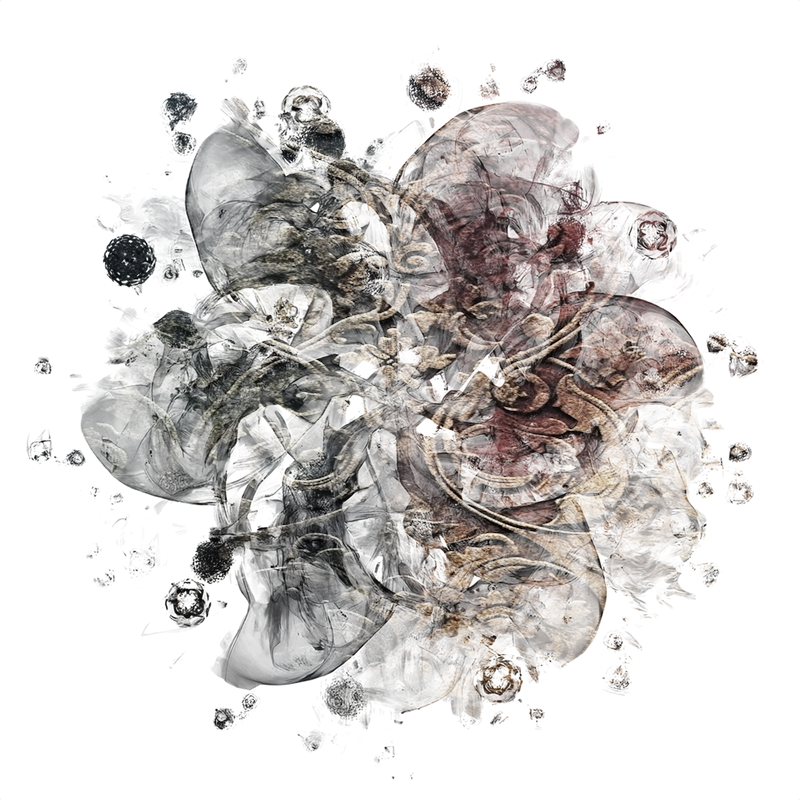2026-DesignsbyForteMasked800x800-656