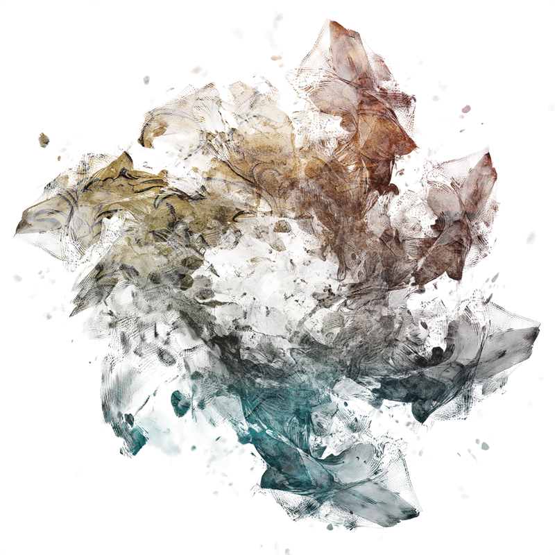 2026-DesignsbyForteMasked800x800-663