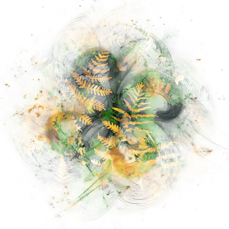 2026-DesignsbyForteMasked800x800-742