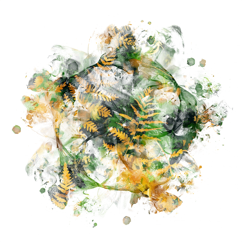 2026-DesignsbyForteMasked800x800-761