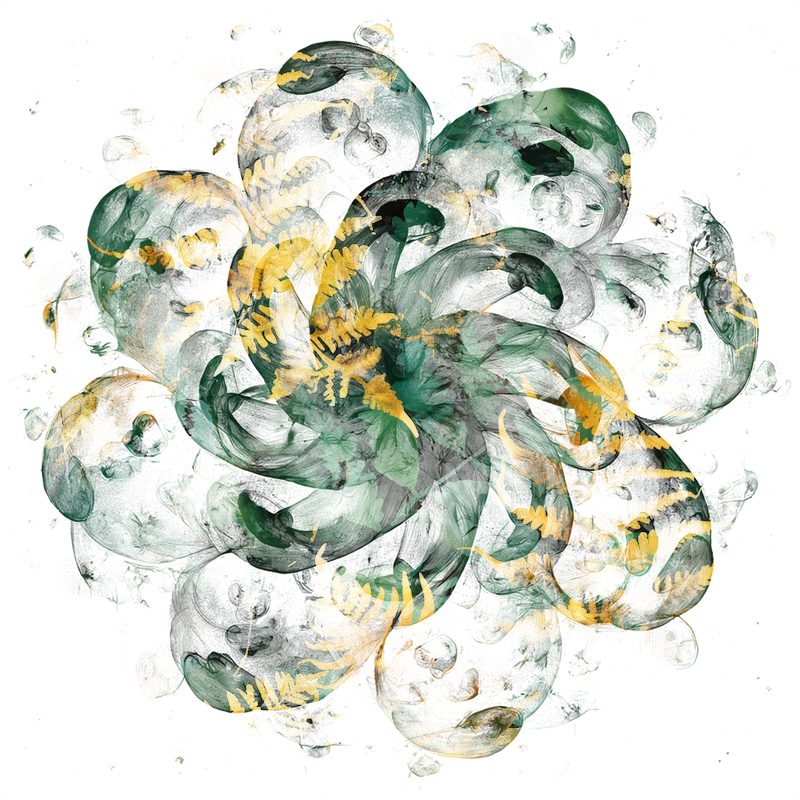 2026-DesignsbyForteMasked800x800-763
