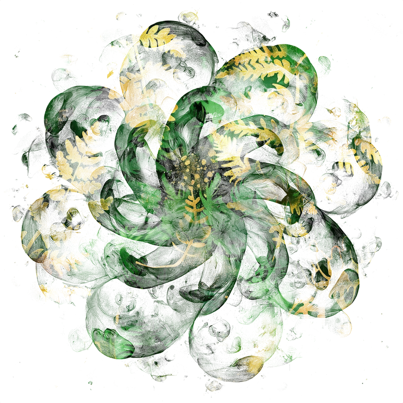 2026-DesignsbyForteMasked800x800-764