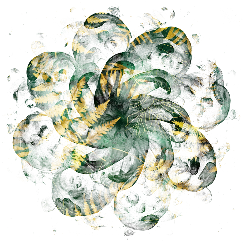 2026-DesignsbyForteMasked800x800-766