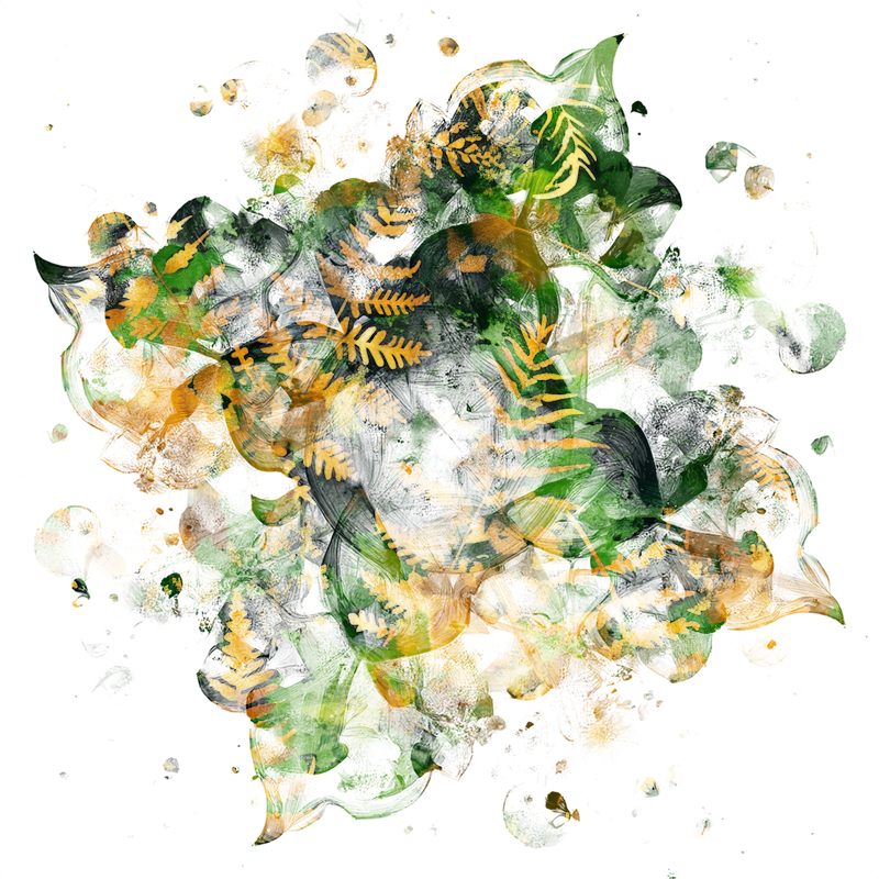 2026-DesignsbyForteMasked800x800-771