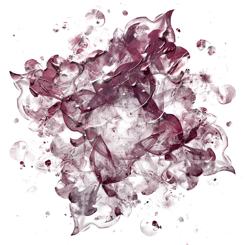 2026-DesignsbyForteMasked800x800-773