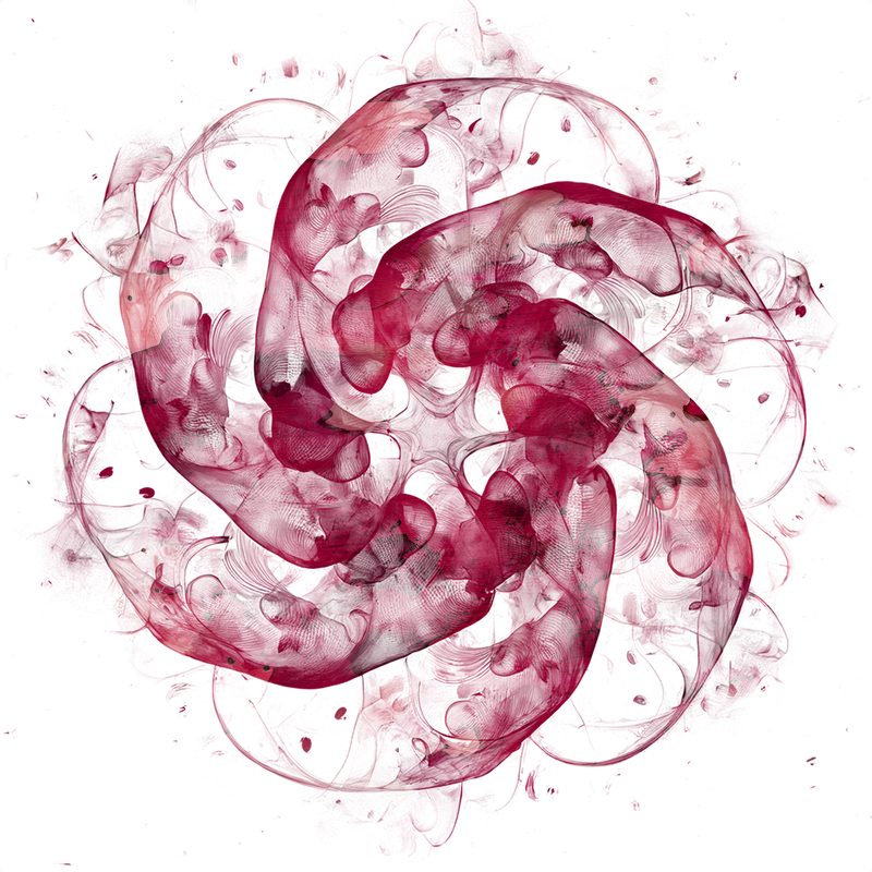 2026-DesignsbyForteMasked800x800-777