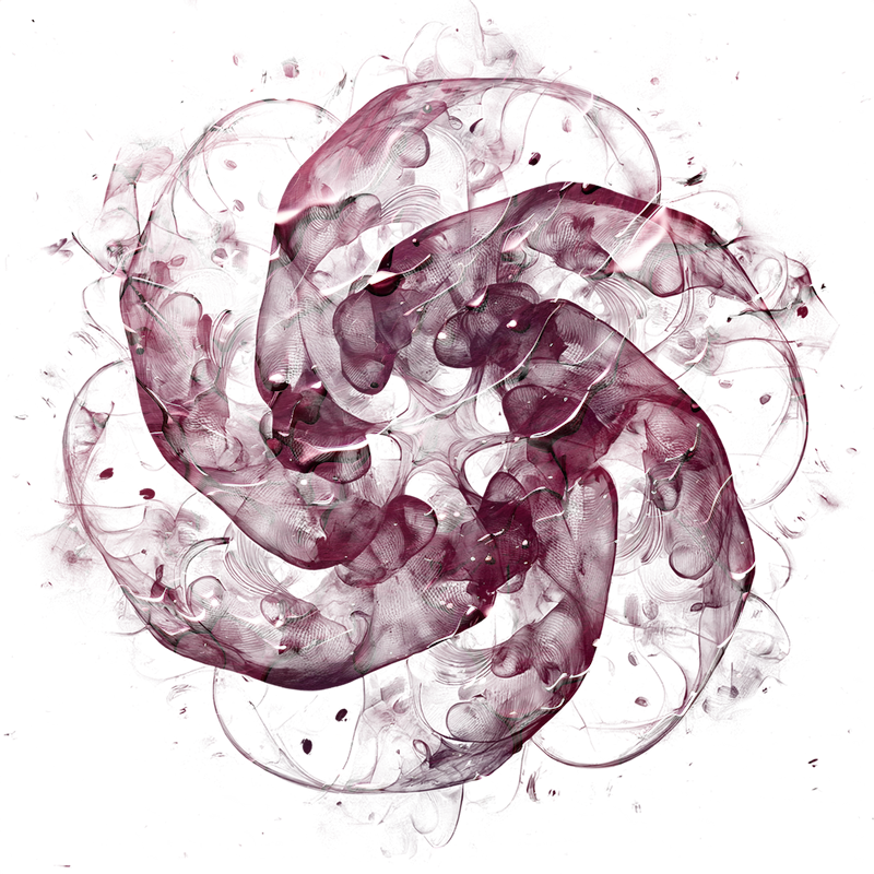 2026-DesignsbyForteMasked800x800-778