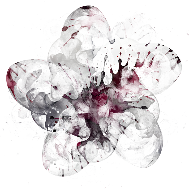 2026-DesignsbyForteMasked800x800-783