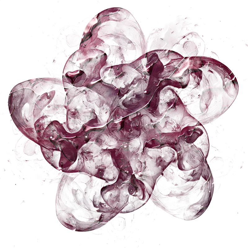 2026-DesignsbyForteMasked800x800-785