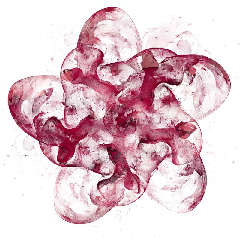 2026-DesignsbyForteMasked800x800-786