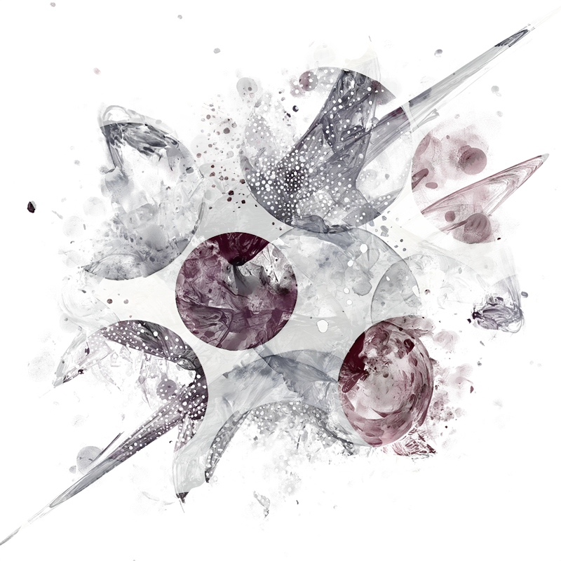 2026-DesignsbyForteMasked800x800-789