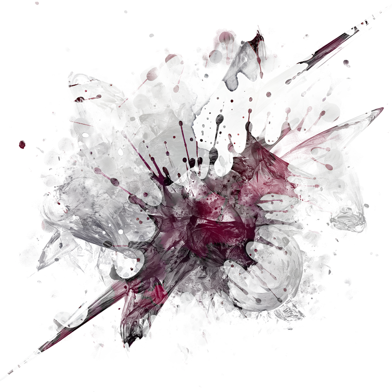 2026-DesignsbyForteMasked800x800-790