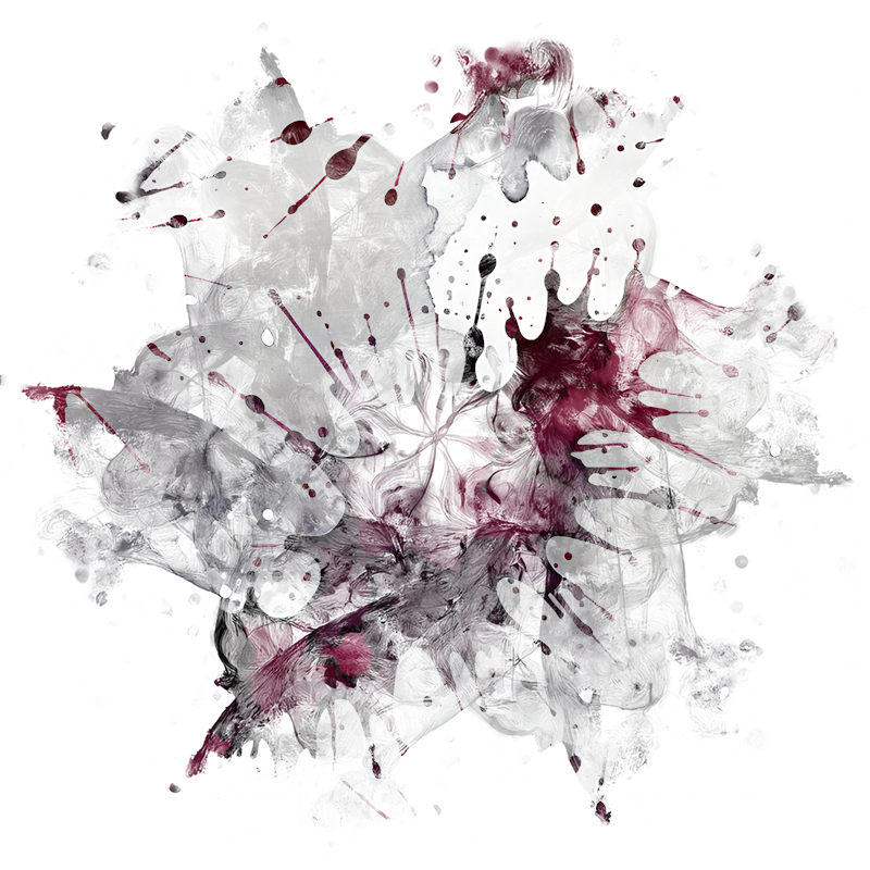 2026-DesignsbyForteMasked800x800-793