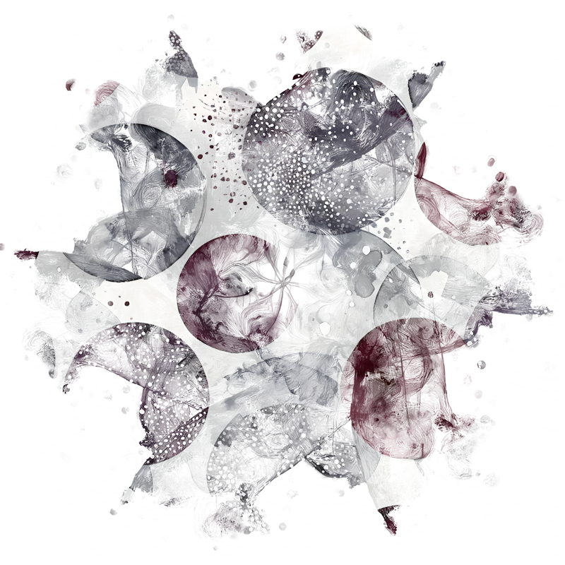 2026-DesignsbyForteMasked800x800-794