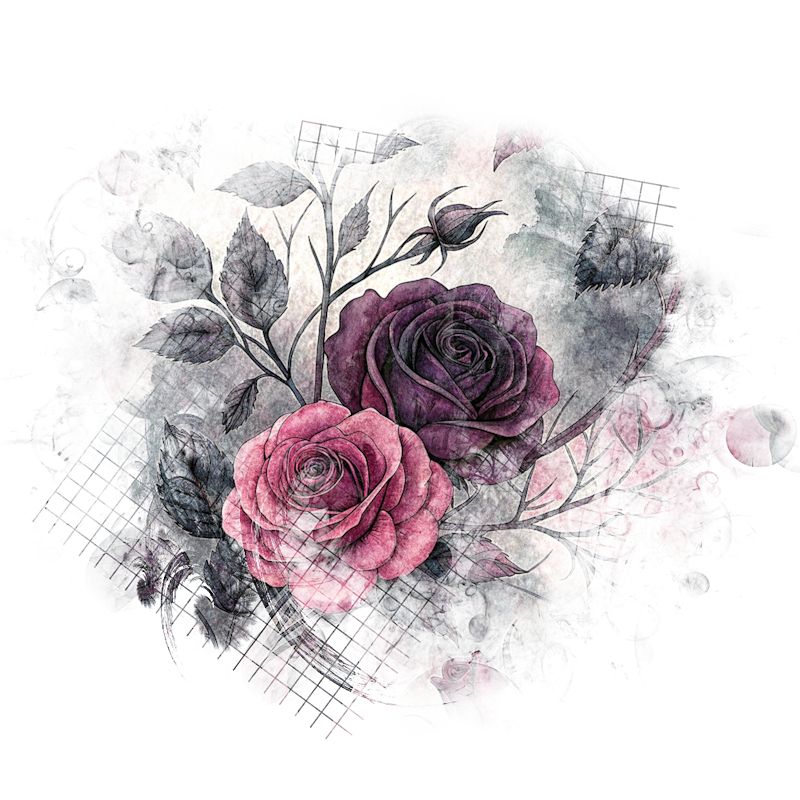 2026-DesignsbyForteMasked800x800-937