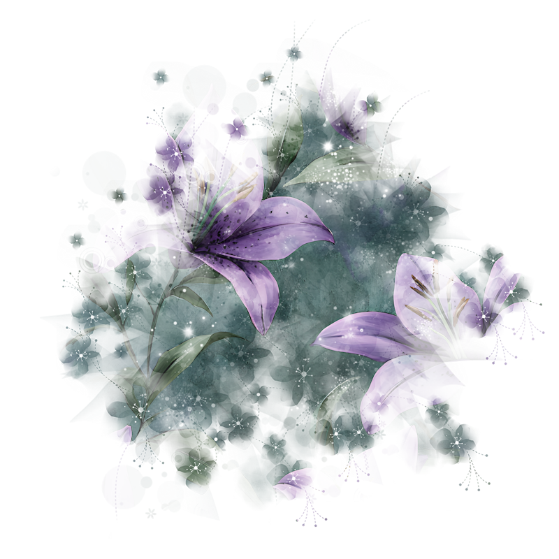 2026-DesignsbyForteMasked800x800-953