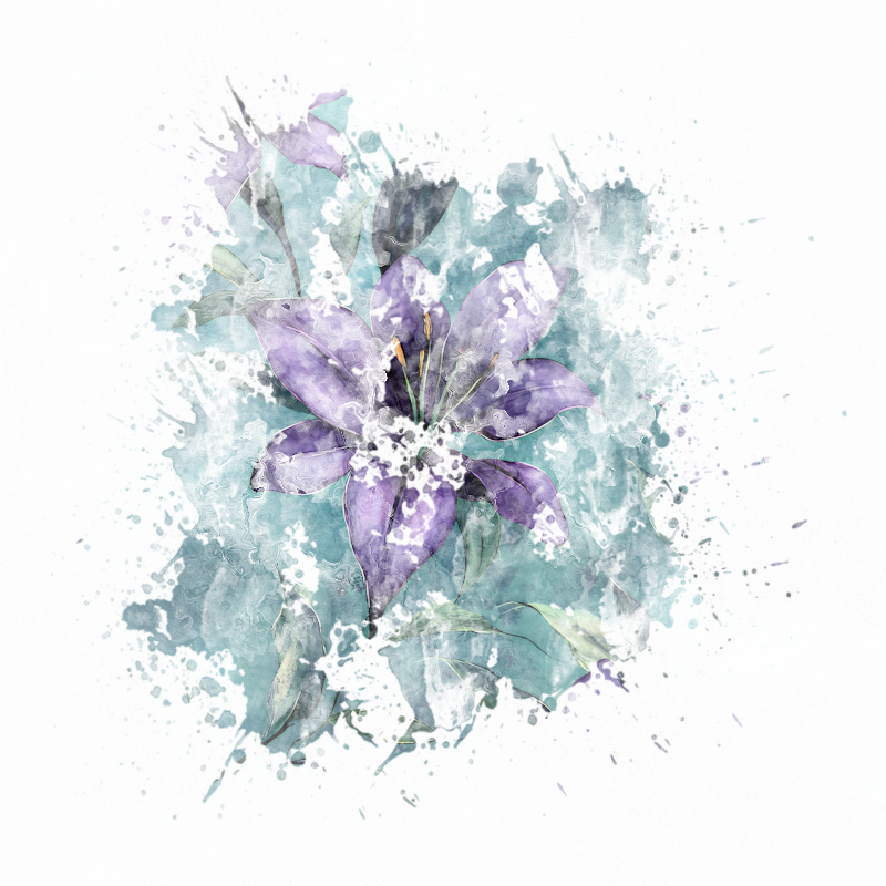 2026-DesignsbyForteMasked800x800-957