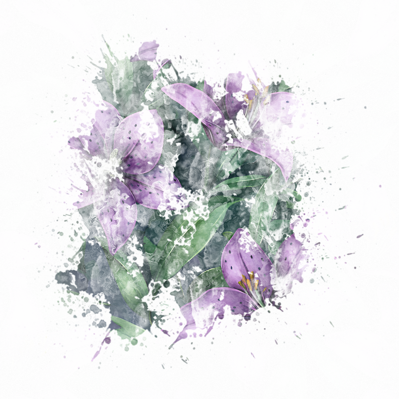 2026-DesignsbyForteMasked800x800-958