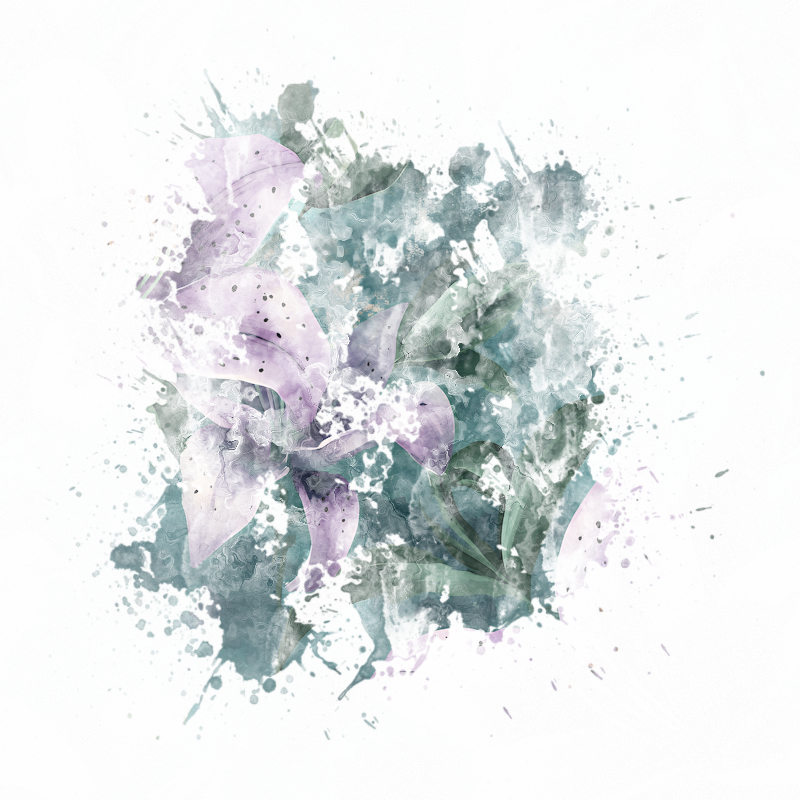 2026-DesignsbyForteMasked800x800-959