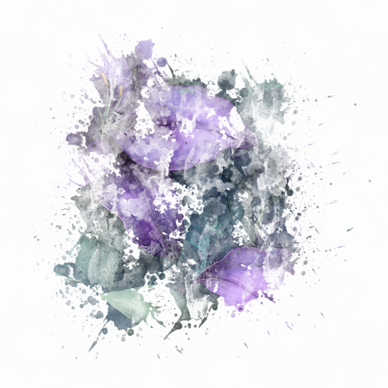 2026-DesignsbyForteMasked800x800-961