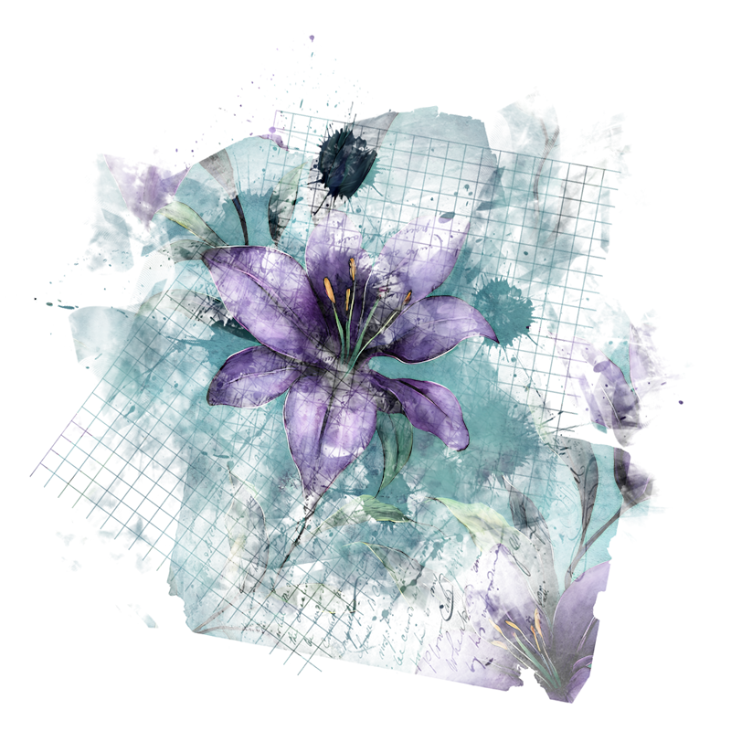 2026-DesignsbyForteMasked800x800-977