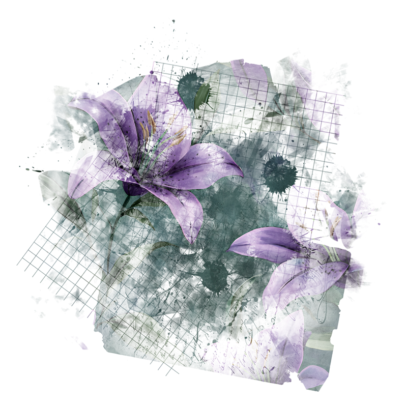 2026-DesignsbyForteMasked800x800-980