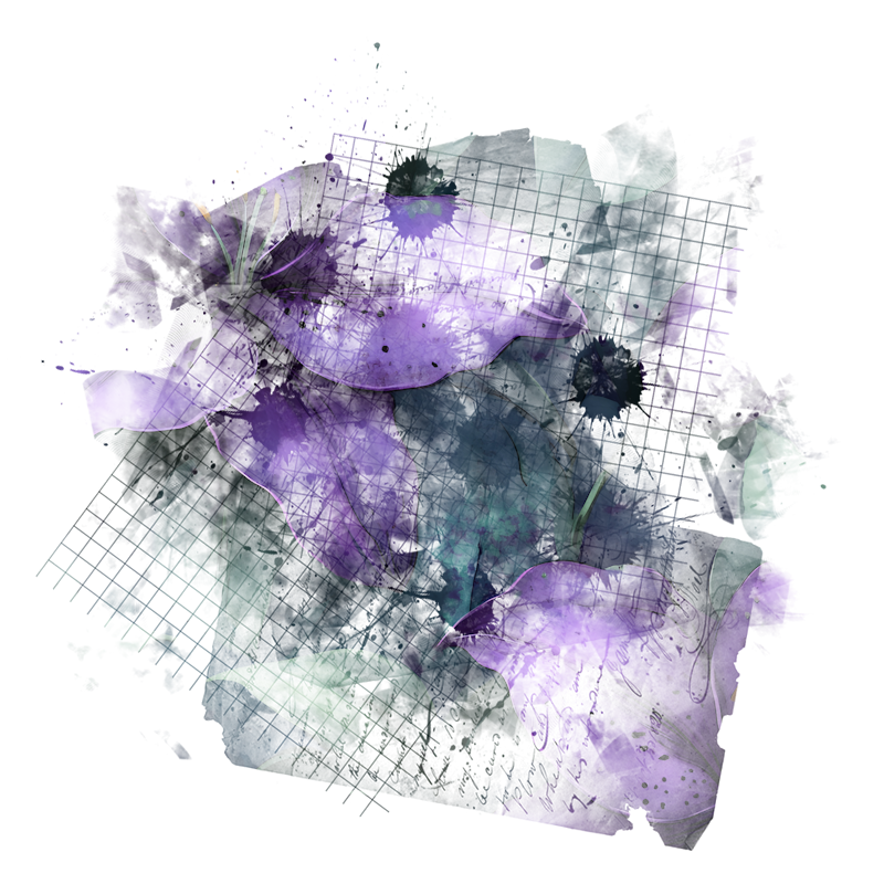 2026-DesignsbyForteMasked800x800-951