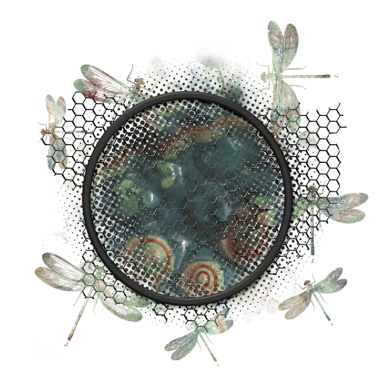 2024-DesignsbyForteElement-46