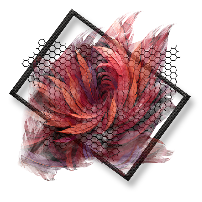 2024-DesignsbyForteElement-56