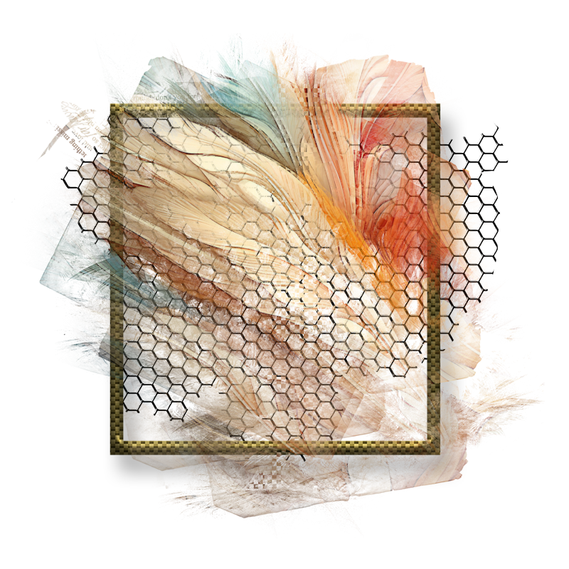 2024-DesignsbyForteElement-57