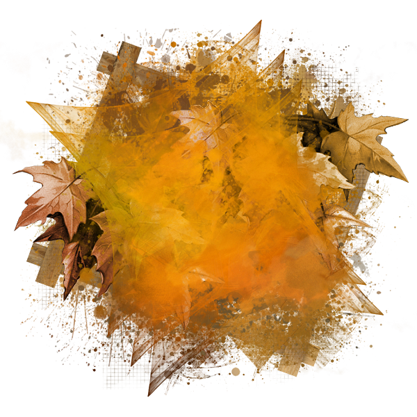 2024-DesignsbyForteElements-02