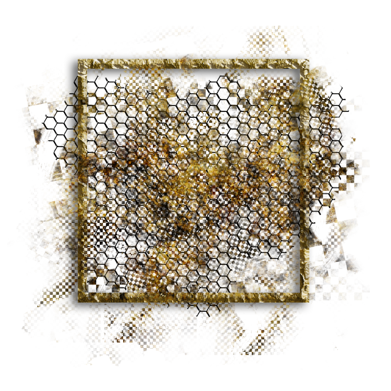 2025-designsbyforteelement-100