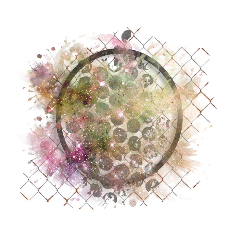 2025-designsbyforteelement-186