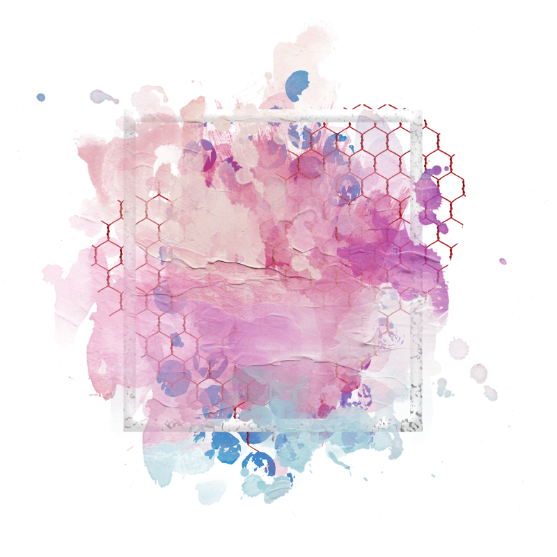 2025-designsbyforteelement-196