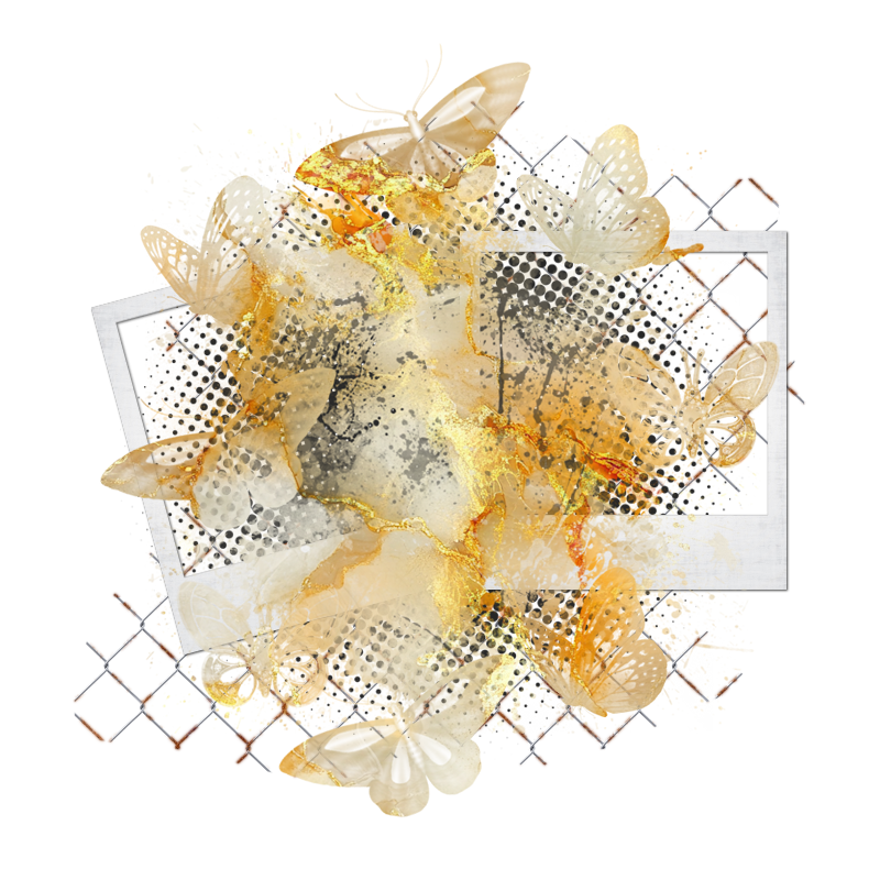2025-designsbyforteelement-220