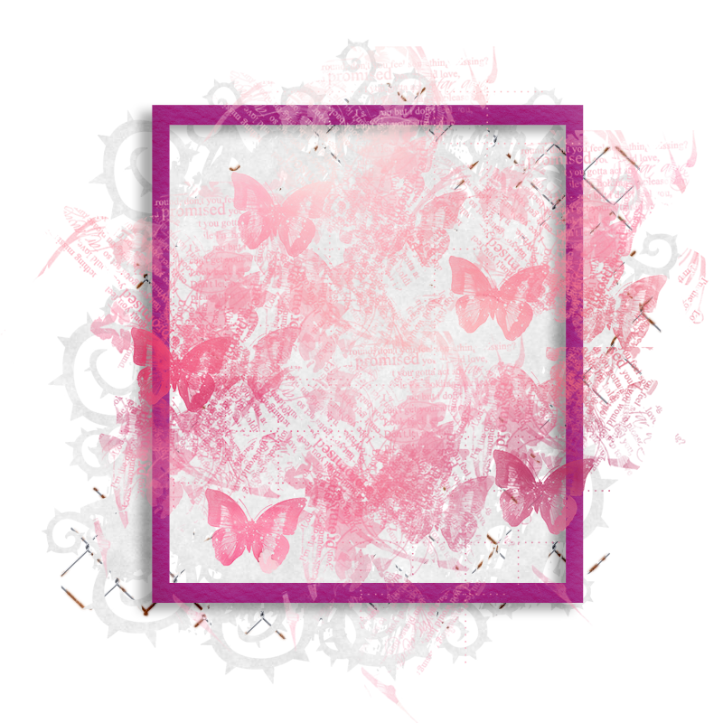 2025-designsbyforteelement-242