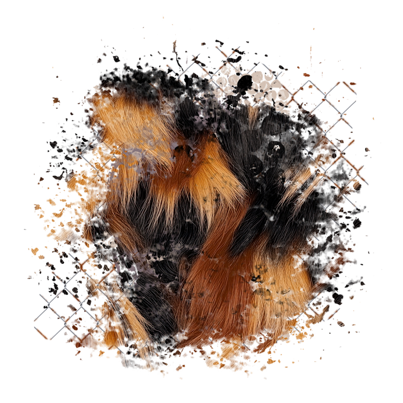 2025-designsbyforteelement-254
