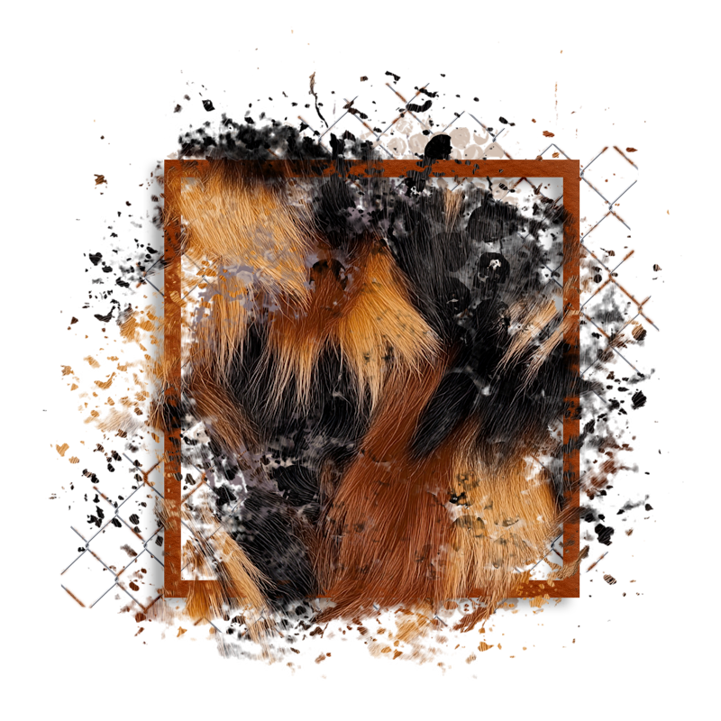 2025-designsbyforteelement-255