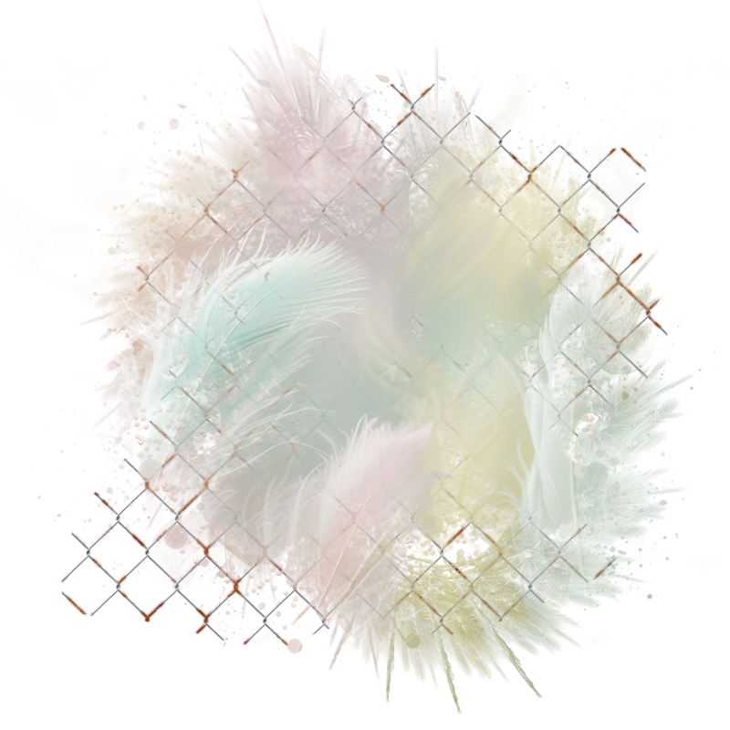 2025-designsbyforteelement-268
