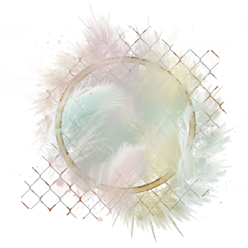 2025-designsbyforteelement-269