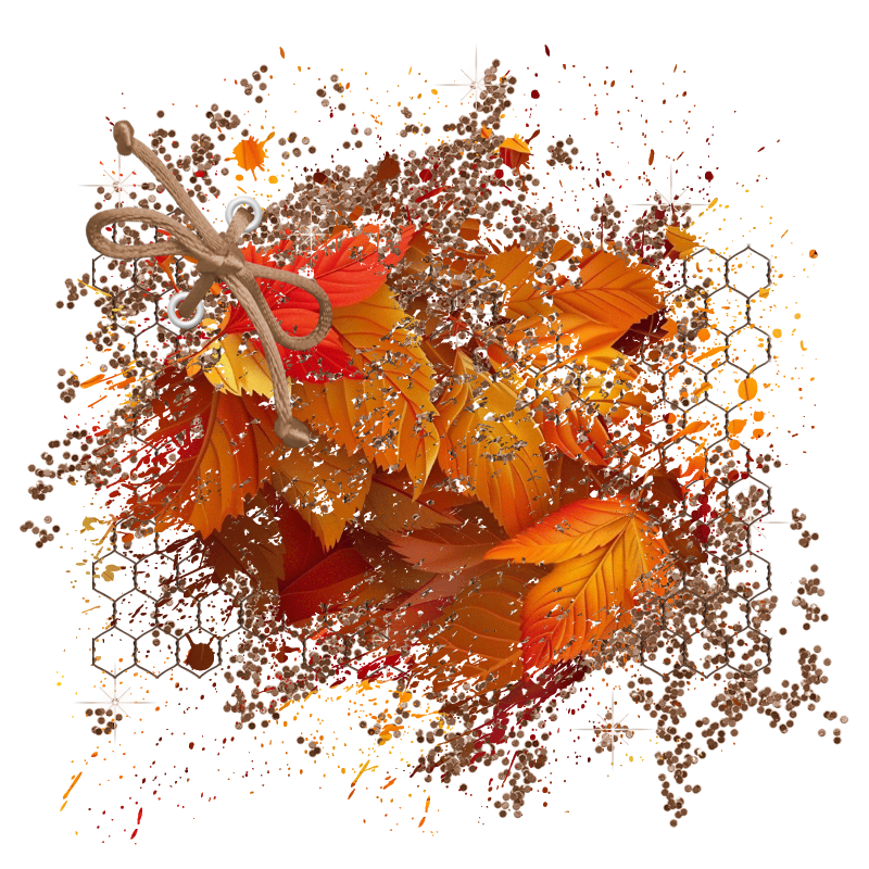 2025-designsbyforteelement-272
