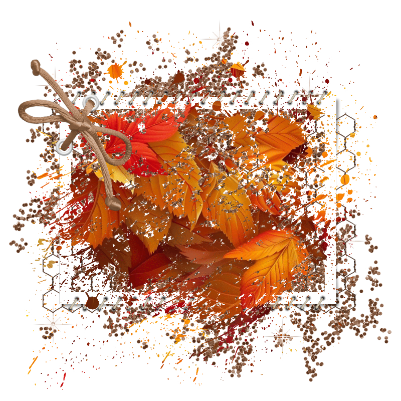 2025-designsbyforteelement-273