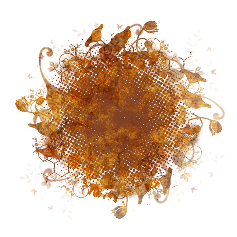2025-designsbyforteelement-286