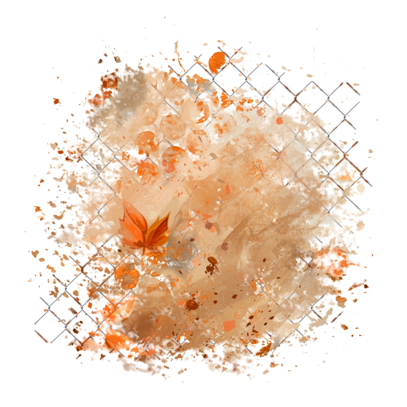 2025-designsbyforteelement-330