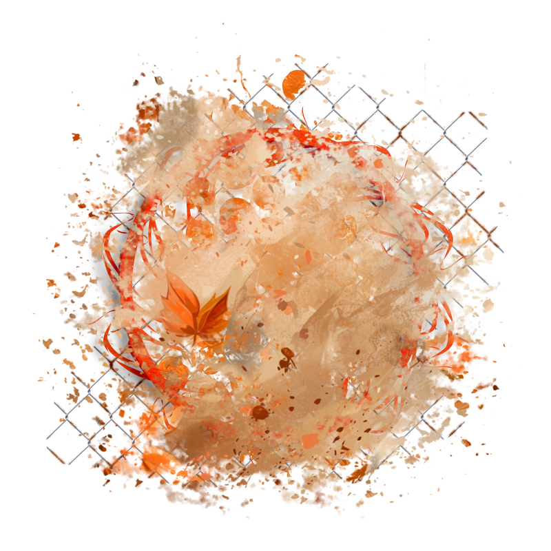 2025-designsbyforteelement-331